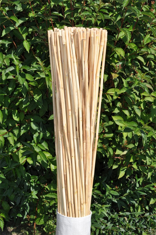 Bambusové tyče nejen k rajčatům